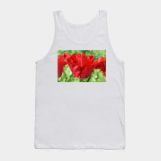 Tulipa &#39;Garden Fire&#39; Parrot Tulip Tank Top